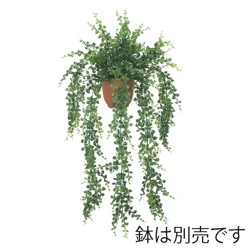 ドガ アジアンタムハンギングブッシュ  LEB-8122 1本（ご注文単位1本）【直送品】