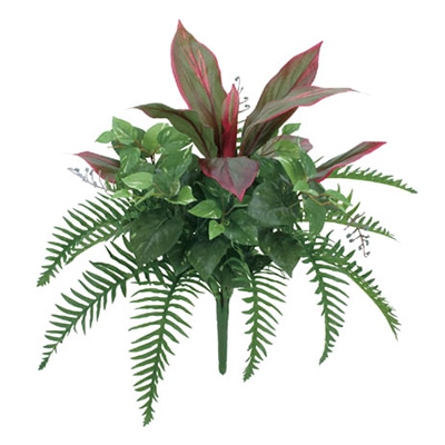 ドガ コルディリーネアソートブッシュ LEB-8130 1本(ご注文単位1本)【直送品】