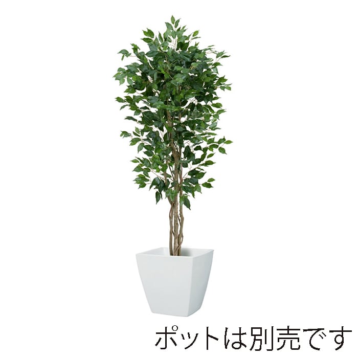 ドガ フィカスツリー S　150cm　ナチュラルトランク NGT-2017-S 1本（ご注文単位1本）【直送品】