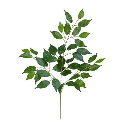 ドガ フィカススプレイ LES-5119 1本(ご注文単位1本)【直送品】