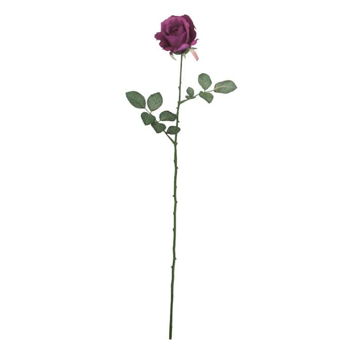 ドガ ミシェルローズ グレープ FLS-0713 1本（ご注文単位1本）【直送品】