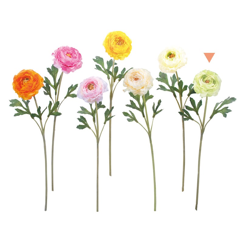 ドガ ラナンキュラスソネット ライムグリーン FLS-5236 1本（ご注文単位1本）【直送品】