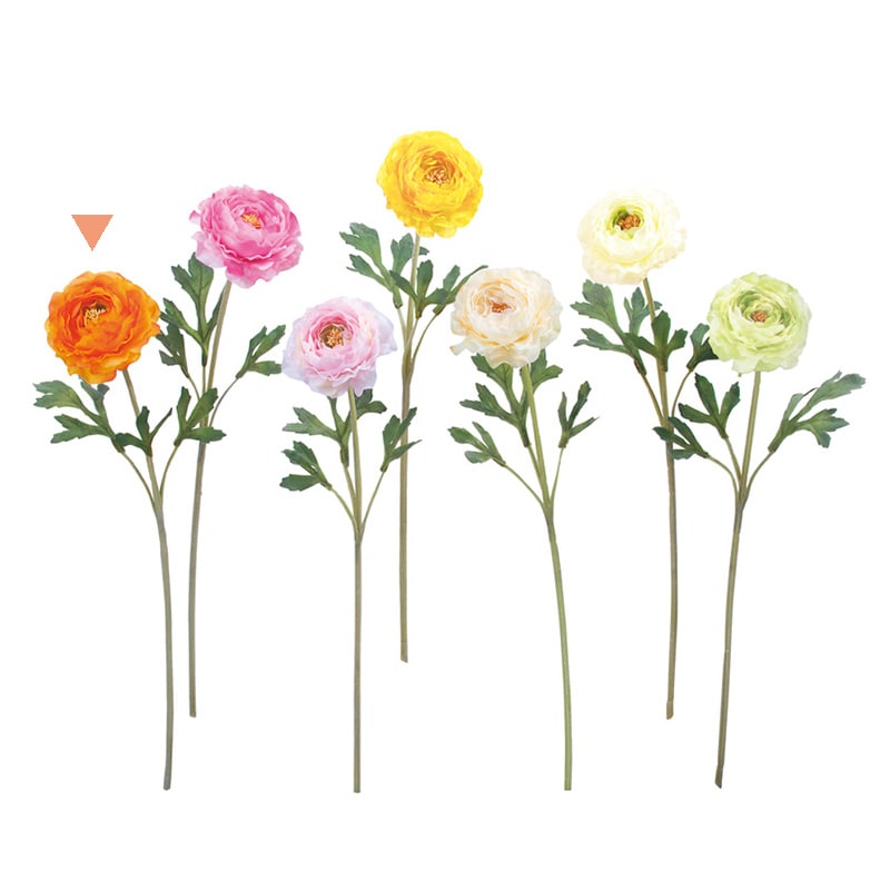 ドガ ラナンキュラスソネット オレンジ FLS-5236 1本（ご注文単位1本）【直送品】