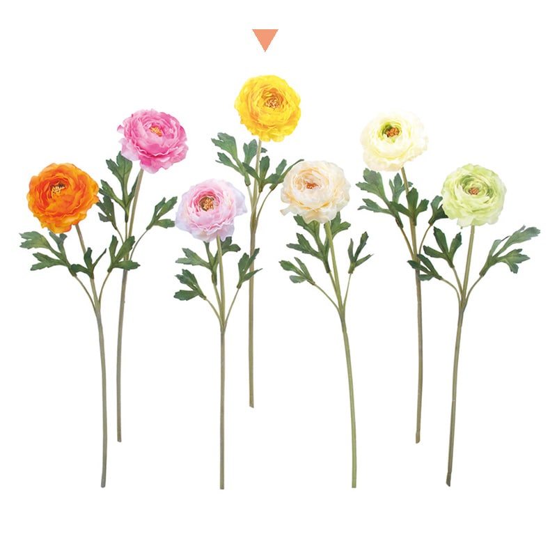 ドガ ラナンキュラスソネット イエロー FLS-5236 1本（ご注文単位1本）【直送品】