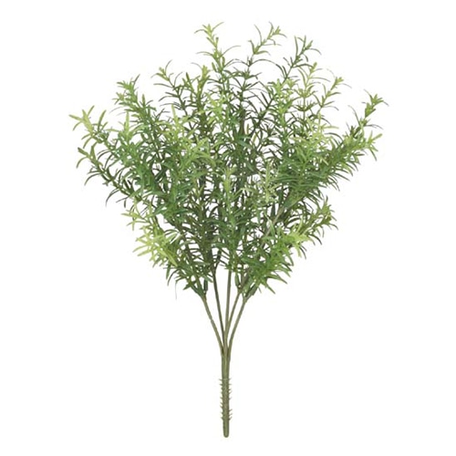 ドガ ソニアブッシュ グリーン LEB-8135 1本(ご注文単位1本)【直送品】