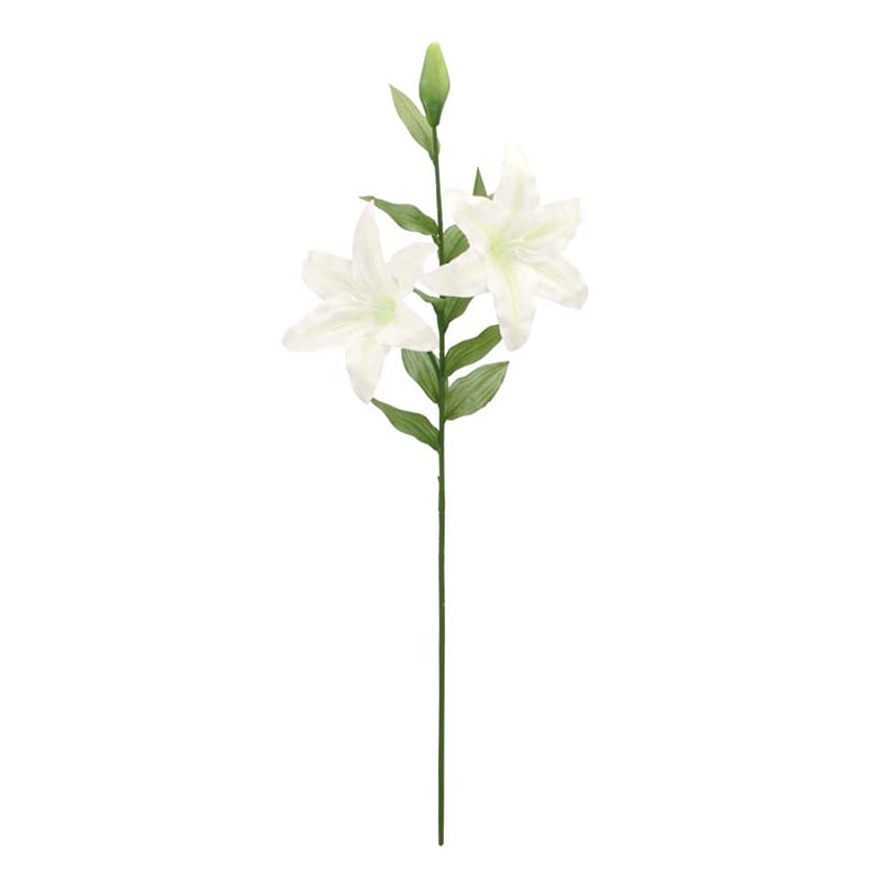 ドガ カサブランカ ホワイト　雄しべ白タイプ FLS-5243 1本（ご注文単位1本）【直送品】