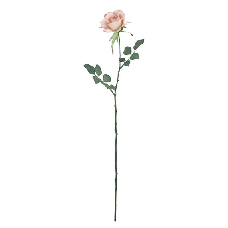 ドガ ミシェルローズ アンティーククリームピンク FLS-0713 1本（ご注文単位1本）【直送品】