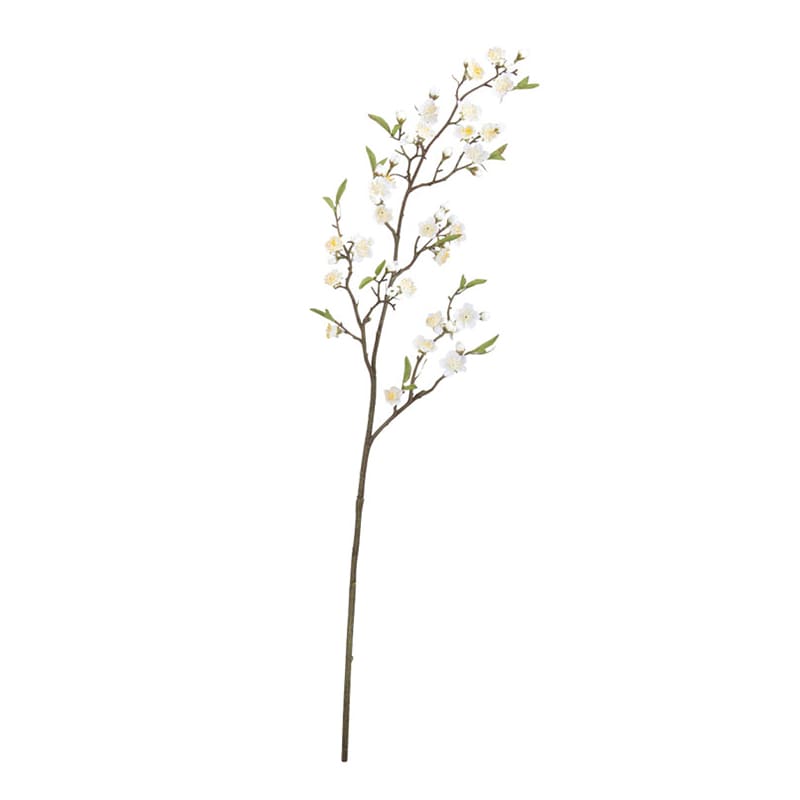 ドガ 常陸の梅 ホワイト FLS-5260 1本（ご注文単位1本）【直送品】