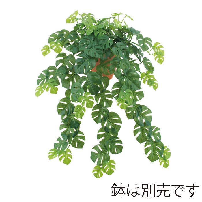 ドガ フレッシュスプリットフィロハンギングブッシュ L LEB-8173-L 1本(ご注文単位1本)【直送品】