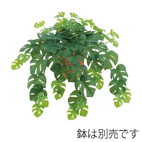 ドガ フレッシュスプリットフィロハンギングブッシュ S LEB-8173-S 1本(ご注文単位1本)【直送品】