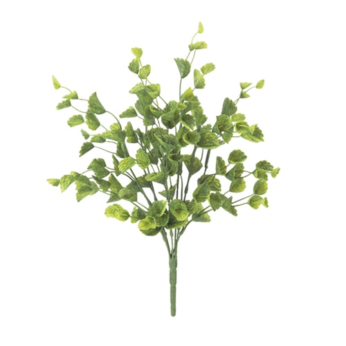 ドガ ミズタガラシブッシュ ツートングリーン LEB-8177 1本(ご注文単位1本)【直送品】