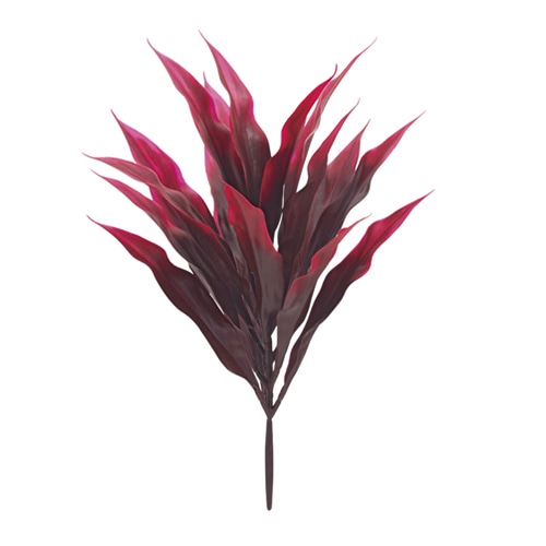 ドガ ドラセナブッシュ バーガンディー LEB-8178 1本（ご注文単位1本）【直送品】