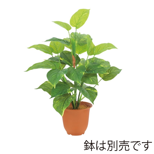 ドガ エバーグリーンポトスブッシュ  LEB-8181 1本（ご注文単位1本）【直送品】