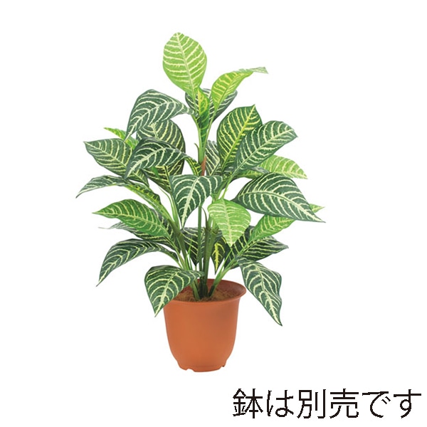 ドガ エバーグリーンゼブラブッシュ LEB-8183 1本(ご注文単位1本)【直送品】