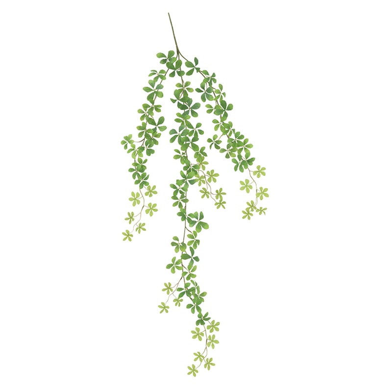 ドガ フレッシュシュガーパインバイン LEV-9014 1本(ご注文単位1本)【直送品】