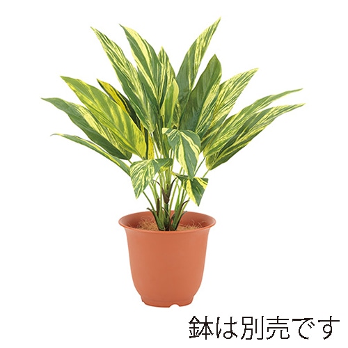 ドガ ウォータープルーフ トラディスカンチャブッシュ LEB-8202 1本(ご注文単位1本)【直送品】