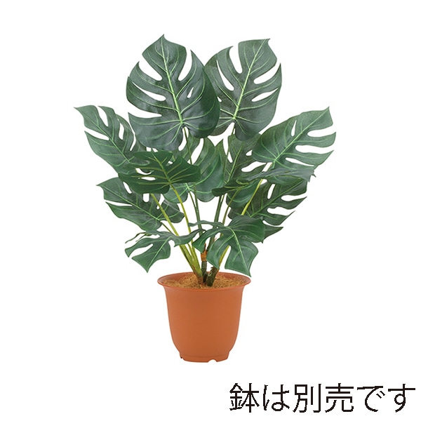 ドガ プレミアムスプリットフィロブッシュ LEB-8206 1本(ご注文単位1本)【直送品】