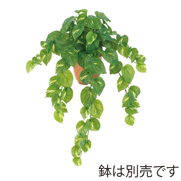 ドガ ウォータープルーフ　ポトスブッシュ  LEB-8210 1本（ご注文単位1本）【直送品】