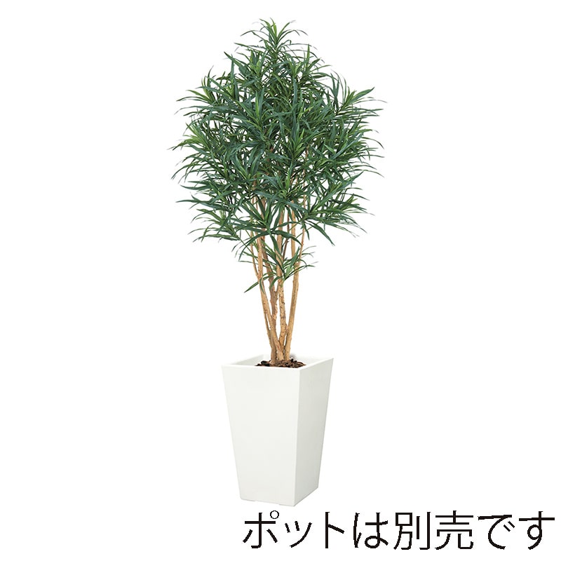 ドガ ドラセナツリー M　ナチュラルトランク NGT-2026-M 1本（ご注文単位1本）【直送品】