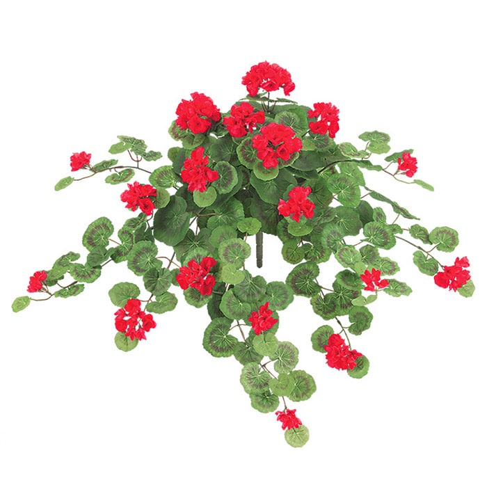 ドガ プレミアムゼラニウムブッシュ L　レッド FLB-8092-L 1本（ご注文単位1本）【直送品】