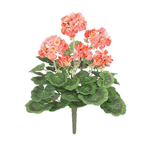 ドガ プレミアムゼラニウムブッシュ S　コーラル FLB-8092-S 1本（ご注文単位1本）【直送品】