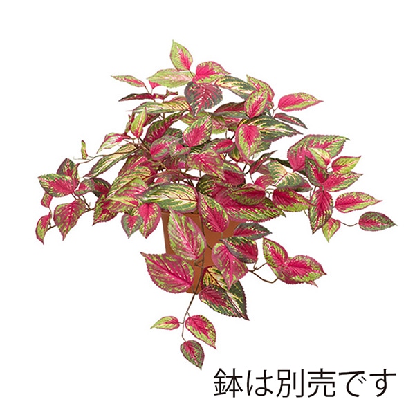ドガ コレウスハンギングブッシュ レッドミックス LEB-8218 1本(ご注文単位1本)【直送品】