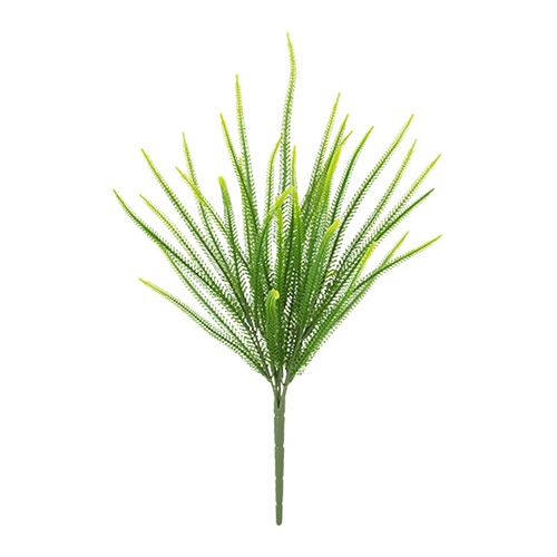 ドガ シーグレープブッシュ LEB-8229 1本(ご注文単位1本)【直送品】