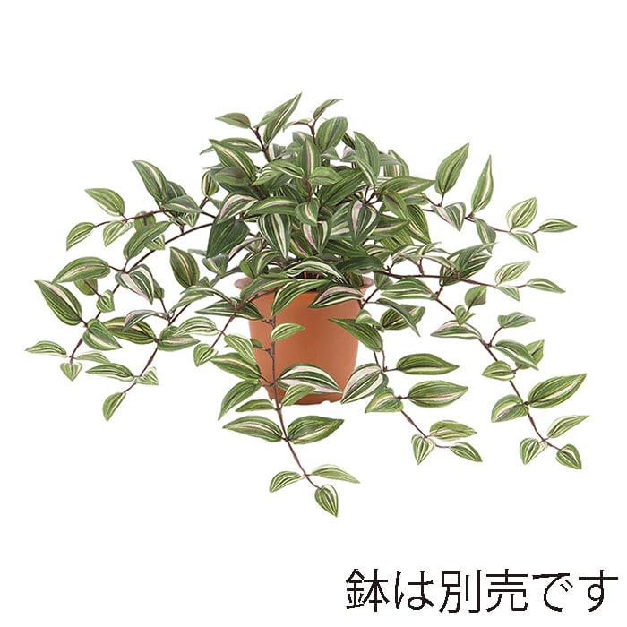 ドガ トラディスカンチャブッシュ グリーン/ホワイト LEB-8236 1本(ご注文単位1本)【直送品】