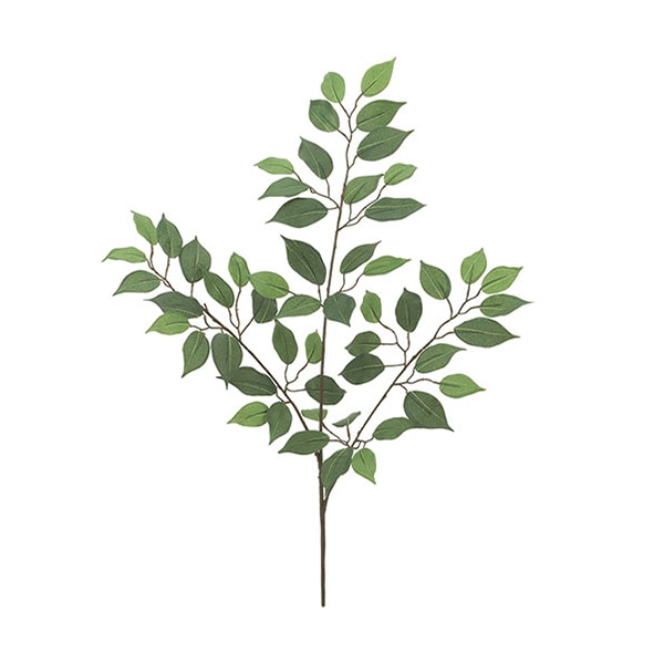 ドガ フィカススプレイ LES-5149 1本(ご注文単位1本)【直送品】