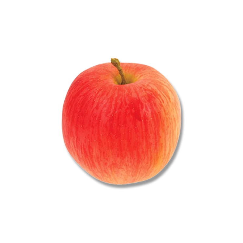 ドガ ディスプレイ　フジ  VF-1220 1個（ご注文単位1個）【直送品】