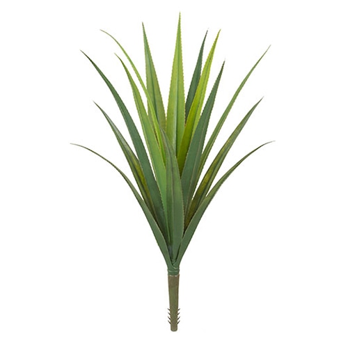 ドガ メキシカンアロエブッシュ L LEB-8238-L 1本（ご注文単位1本）【直送品】