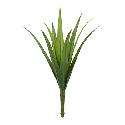 ドガ メキシカンアロエブッシュ S LEB-8238-S 1本（ご注文単位1本）【直送品】