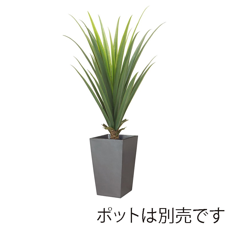 ドガ メキシカンアロエプラント L LET-2067-L 1本（ご注文単位1本）【直送品】