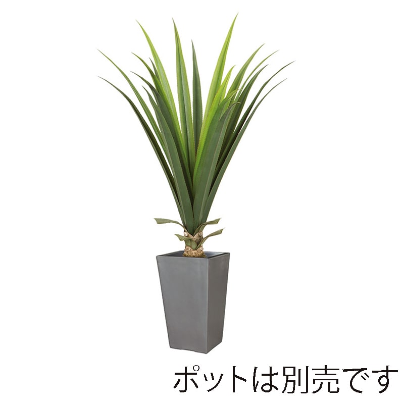 ドガ メキシカンアロエプラント S LET-2067-S 1本（ご注文単位1本）【直送品】