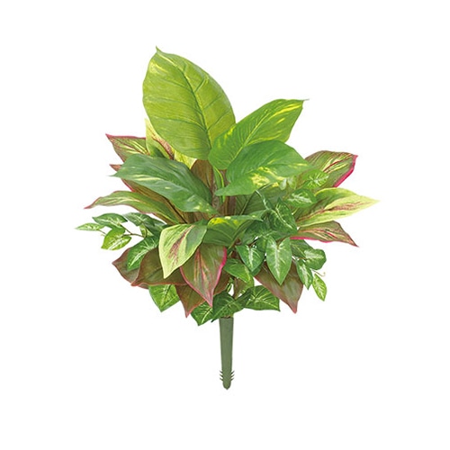 ドガ ポトスアソートブッシュ  LEB-8259 1本（ご注文単位1本）【直送品】