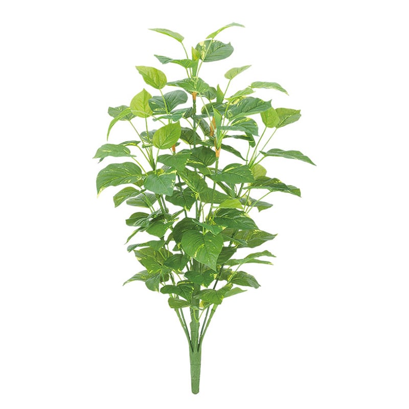 ドガ ウォータープルーフ　ポトスプラント L LEB-8273-L 1本（ご注文単位1本）【直送品】