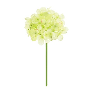 ドガ ファインアジサイピック ライムグリーン FLP-6013 1本（ご注文単位1本）【直送品】