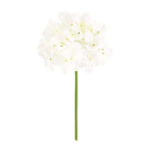 ドガ ファインアジサイピック ホワイト FLP-6013 1本（ご注文単位1本）【直送品】