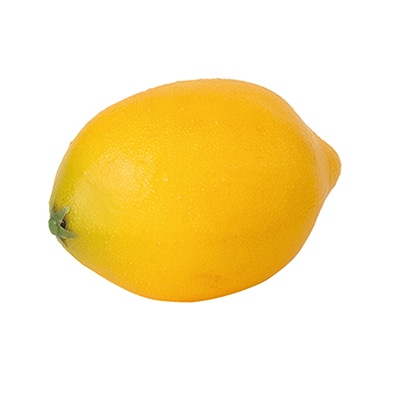 ドガ ディスプレイ レモン VF-1228 1個(ご注文単位1個)【直送品】