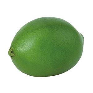 ドガ ディスプレイ ライム VF-1229 1個(ご注文単位1個)【直送品】