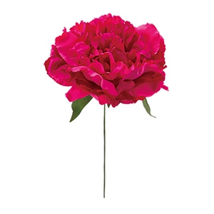 ドガ エリザベスピオニーピック ビューティー FLP-6016 1本（ご注文単位1本）【直送品】