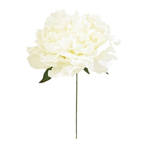 ドガ エリザベスピオニーピック ホワイト FLP-6016 1本（ご注文単位1本）【直送品】