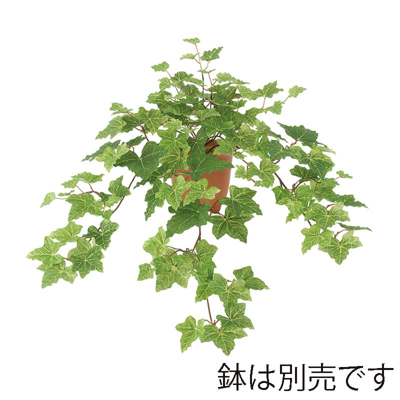 ドガ フレッシュアイビーハンギングブッシュ  LEB-8287 1本（ご注文単位1本）【直送品】