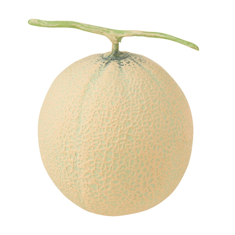 ドガ ディスプレイ アンデスメロン VF-1232 1個(ご注文単位1個)【直送品】