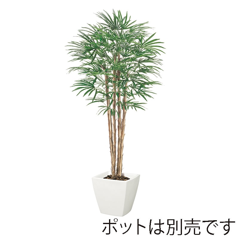 ドガ シュロチク ナチュラルトランク NGT-2039 1本（ご注文単位1本）【直送品】