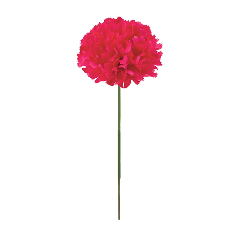 ドガ カーネーションピック ビューティー FLP-6019 1本（ご注文単位1本）【直送品】