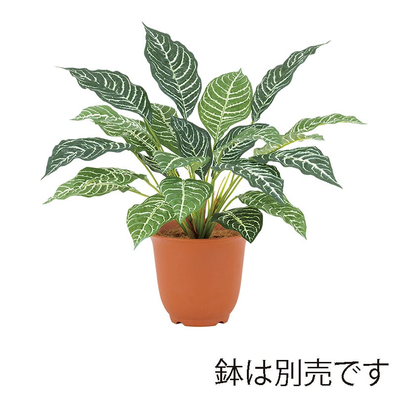 ドガ ファインゼブラブッシュ LEB-8304 1本(ご注文単位1本)【直送品】