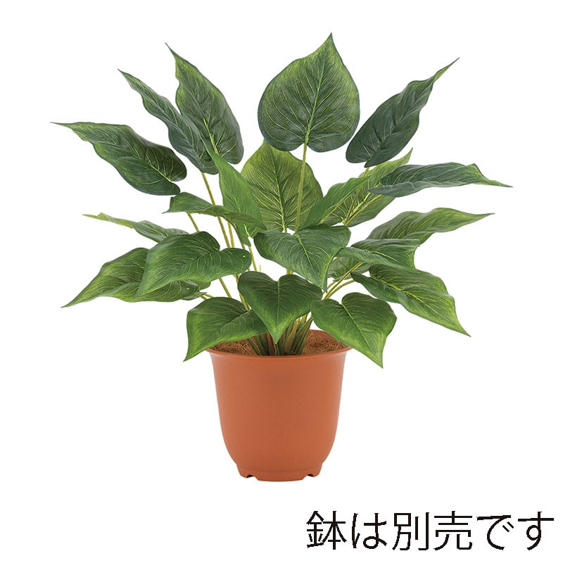 ドガ ファインフィロブッシュ LEB-8306 1本(ご注文単位1本)【直送品】