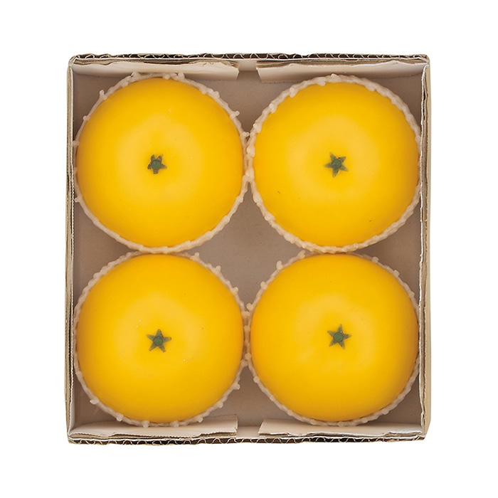 ドガ ディスプレイ フロリダグレープフルーツ 4個パック VF-1260 1パック(ご注文単位1パック)【直送品】