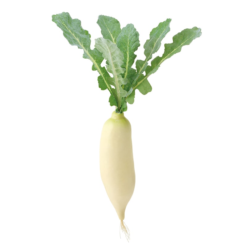 ドガ ディスプレイ　大根 4本パック VF-1268 1パック（ご注文単位1パック）【直送品】